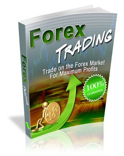 Forex plr types of fractals on forex